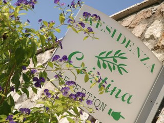 Ferienwohnung Brenzone sul Garda Umgebung 18