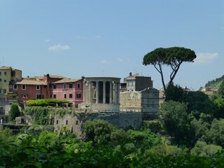 Appartamento per vacanze Genzano di Roma Ambiente 40