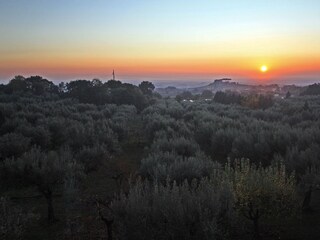 Holiday apartment Genzano di Roma Outdoor Recording 11