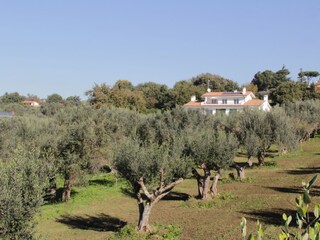 Holiday apartment Genzano di Roma Outdoor Recording 6