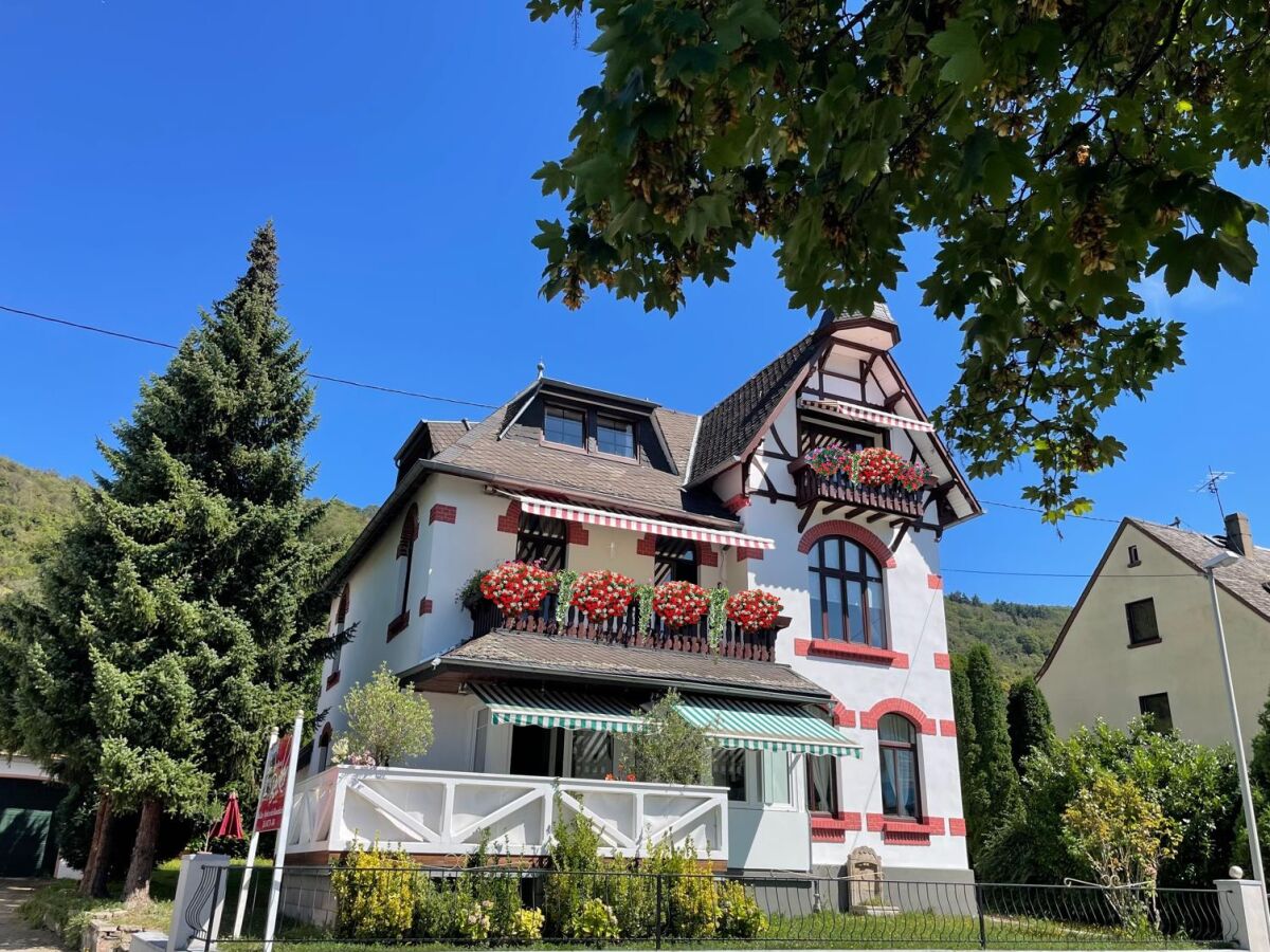 Außenansicht Ferienhaus Villa Christina direkt am Rhein