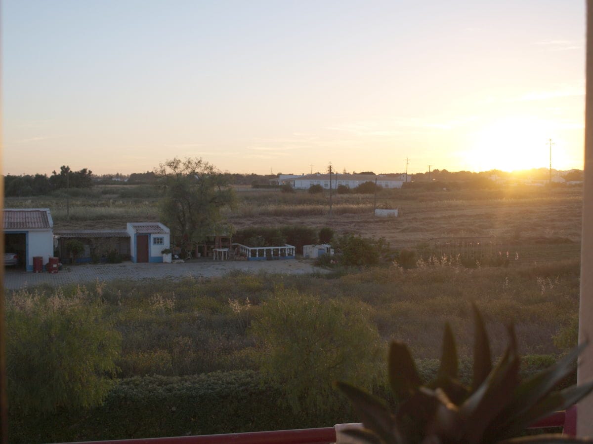 Blick aus der Küche, mit Mittag und Abendsonne