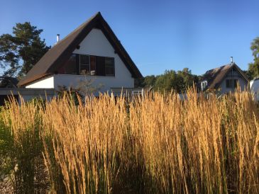 Ferienwohnung Lotse 1