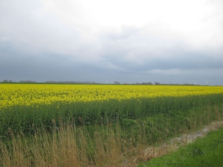 Impressionen auf éiner Fahrradtour