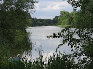 Der Heidesee in Müden / Örtze.