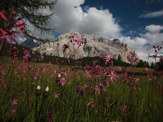 Appartamento per vacanze Wengen (Südtirol) Ambiente 15