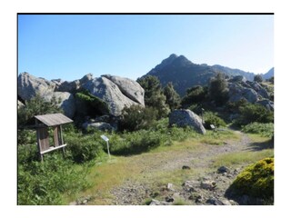 Holiday apartment Marciana Environment 24