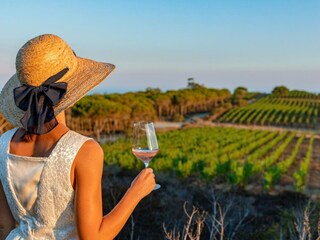 Weintouren-Weinverkostung