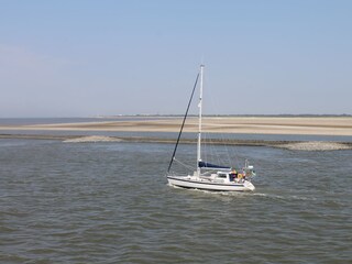 Appartamento per vacanze Borkum Ambiente 22