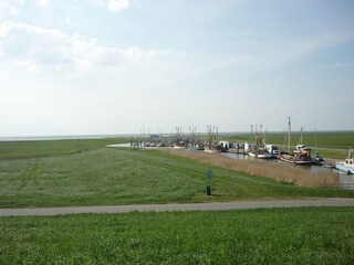 Kutterhafen mit Fischerbooten
