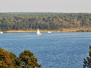 Die Müritz mit Blick auf Ecktannen