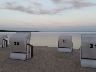 Am Strandläufer