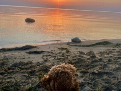 Frau Marzena Jedynska