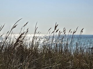Blick auf die Ostsee