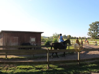 Reiten in Wulfen