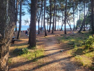 Appartement de vacances Rovinj Environnement 24