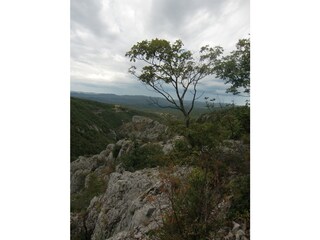 Holiday apartment Rovinj Environment 25