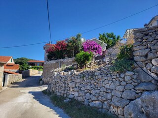 Apartamento Vinisce Entorno 39