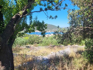 Appartamento Vinisce Ambiente 36