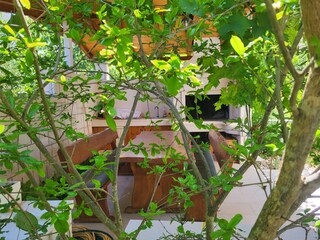 Appartamento Vinisce Caratteristiche 27