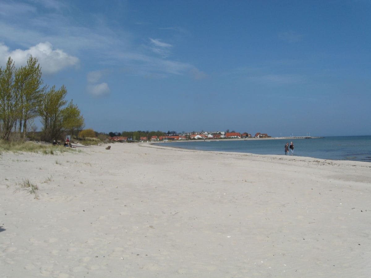 Am Strand nahe des Vogelschutzgebietes in Hohwacht