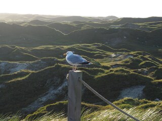 Appartamento Norderney Ambiente 10