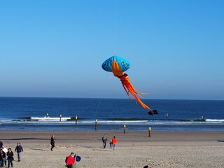 Apartamento Norderney Entorno 11