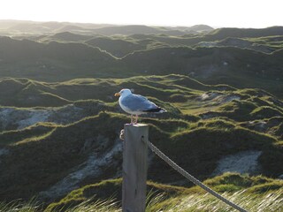 Appartamento Norderney Ambiente 10