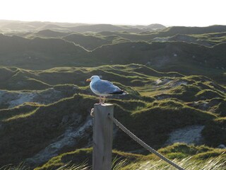 Appartamento Norderney Ambiente 10