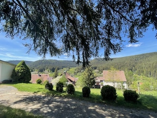 Blick ins Nagoldtal vom Waldsofa aus