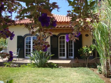 Ferienhaus Madeira Wine Cottages "Boal"