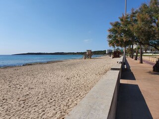 Finca Sant Llorenc des Cardassar Environment 36