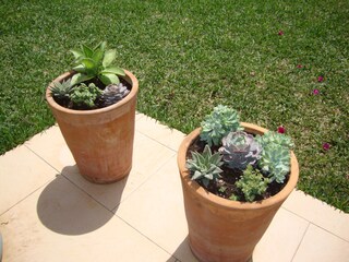 Tenuta Sant Llorenc des Cardassar Registrazione all'aperto 7