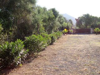 Tenuta Sant Llorenc des Cardassar Registrazione all'aperto 16