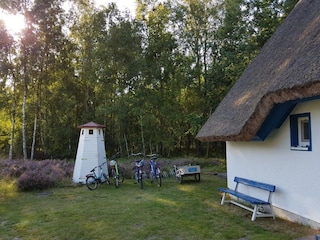 Garten Dünenheide 1 Hiddensee