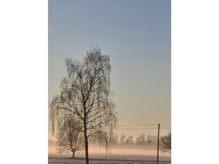 Vakantieappartement Leutkirch Buitenaudio-opname 12