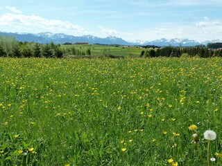 Vakantieappartement Leutkirch Buitenaudio-opname 11