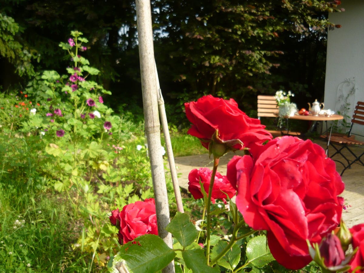 Holiday apartment Leutkirch Outdoor Recording 1