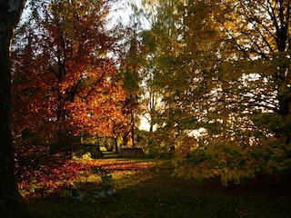 Herbst im eigenen Garten