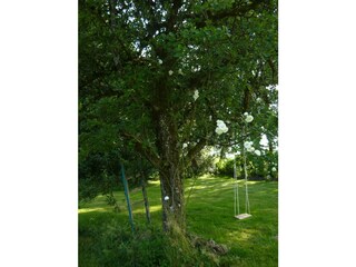 Holiday apartment Leutkirch Outdoor Recording 9
