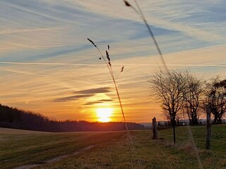 Sonnenaufgang beim Morgenspaziergang