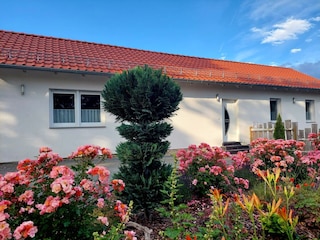 Holiday house Darlingerode Outdoor Recording 2