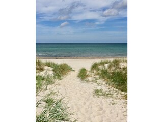 Strandabschnitt bei Zingst