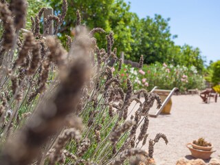 Tenuta Sant Llorenc des Cardassar Registrazione all'aperto 18