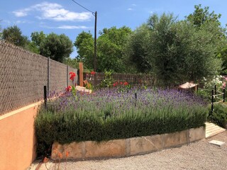 Finca Sant Llorenc des Cardassar Außenaufnahme 20