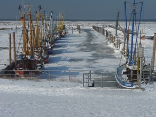 ... und die Kutter im Winterschlaf