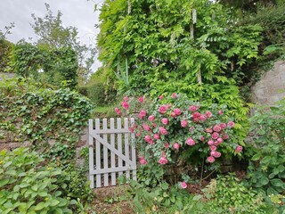 Casa per le vacanze Fréhel Caratteristiche 20