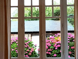 Blick aus dem Wohnzimmer