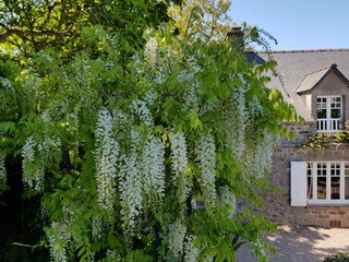 Casa per le vacanze Fréhel Registrazione all'aperto 13