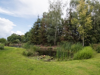 Ferienwohnung Mysliborz Außenaufnahme 11